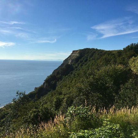 Baycrest Lodge Homer Εξωτερικό φωτογραφία